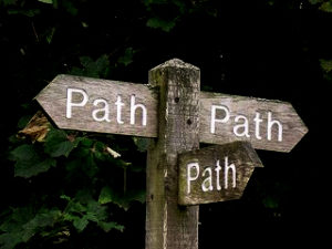 Does Your Plan Put You On The Right Path? Make sure with DeviledDetails.com