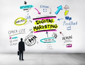 Digital Marketing Guru Needed